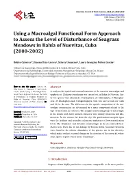 Using a Macroalgal Functional Form Approach to Assess the Level of Disturbance of Seagrass Meadows in Bahía of Nuevitas, Cuba (2000-2002)