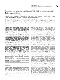 Expression and Functional Significance of CDC25B in Human Pancreatic