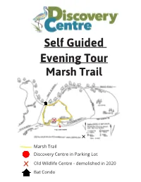 Self Guided Marsh Trail Loop Tour