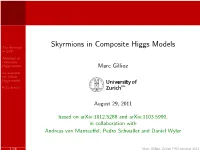 Skyrmions in Composite Higgs Models in QCD
