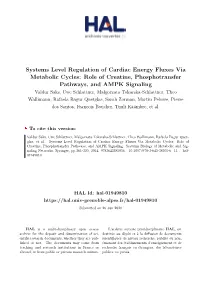 Systems Level Regulation of Cardiac Energy Fluxes Via Metabolic Cycles