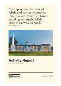 Activity Report for the Year Ended 31 December 2013