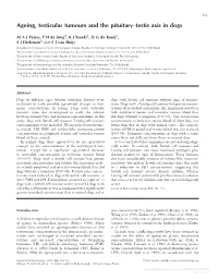 Ageing, Testicular Tumours and the Pituitary–Testis Axis in Dogs