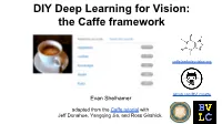 DIY Deep Learning for Vision: the Caffe Framework