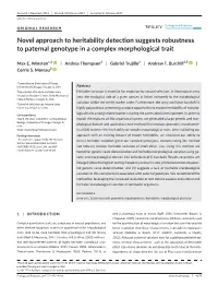 Novel Approach to Heritability Detection Suggests Robustness to Paternal Genotype in a Complex Morphological Trait