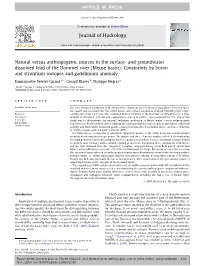 And Groundwater Dissolved Load of the Dommel River (Meuse Basin): Constraints by Boron and Strontium Isotopes and Gadolinium Anomaly