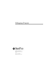 Debugging a Program