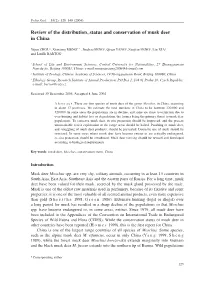 Review of the Distribution, Status and Conservation of Musk Deer in China