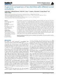 A Genomic Comparison of Two Termites with Different Social Complexity