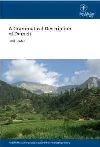 A Grammatical Description of Dameli