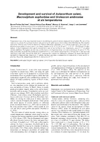 Development and Survival of Aulacorthum Solani, Macrosiphum Euphorbiae and Uroleucon Ambrosiae at Six Temperatures