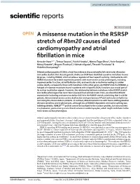 A Missense Mutation in the RSRSP Stretch of Rbm20 Causes Dilated