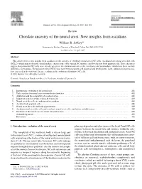 Chordate Ancestry of the Neural Crest: New Insights from Ascidians William R
