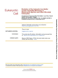 Eukaryotes Blastocystis Species and Other Microbial Cluster Assembly