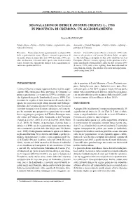 Segnalazioni Di Istrice (Hystrix Cristata L., 1758) in Provincia Di Cremona: Un Aggiornamento