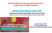 Understanding Life in Extreme Environments; from a Single Colony to Million Sequences