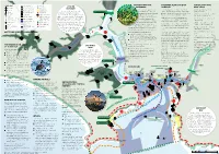 Water User's Guide