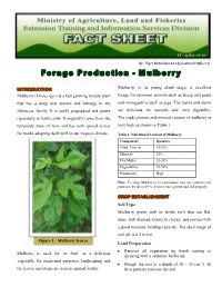 INTRODUCTION Mulberry (Morus Spp.) Is a Fast Growing Woody Plant That Has a Deep Root System and Belongs to the Moraceae