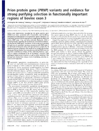 Prion Protein Gene (PRNP) Variants and Evidence for Strong Purifying Selection in Functionally Important Regions of Bovine Exon 3