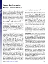 Supporting Information