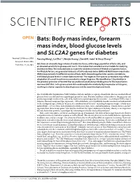Bats: Body Mass Index, Forearm Mass Index, Blood Glucose Levels And
