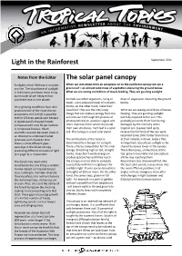 Light in the Rainforest the Solar Panel Canopy