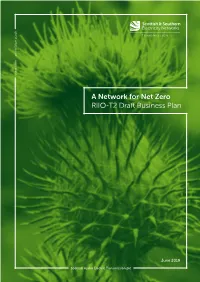 A Network for Net Zero RIIO-T2 Draft Business Plan