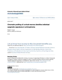 Chromatin Profiling of Cortical Neurons Identifies Individual Epigenetic Signatures in Schizophrenia