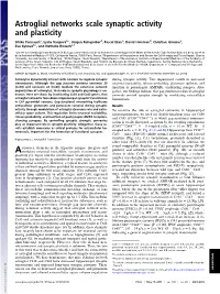 Astroglial Networks Scale Synaptic Activity and Plasticity
