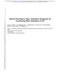 Bud13 Promotes a Type I Interferon Response by Countering Intron