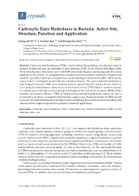 Carboxylic Ester Hydrolases in Bacteria: Active Site, Structure, Function and Application