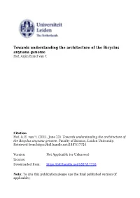 Evolutionary Dynamics of Multi-Locus Microsatellite Arrangements in the Genome of the Butterfly Bicyclus Anynana, with Implications for Other Lepidoptera.1