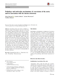 Pathology and Molecular Mechanisms of Coarctation of the Aorta and Its Association with the Ductus Arteriosus