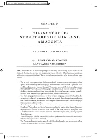 Polysynthetic Structures of Lowland Amazonia