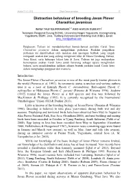 Distraction Behaviour of Breeding Javan Plover Charadrius Javanicus