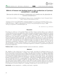 Effects of Humus and Shading Levels in the Production of Lactuca Canadensis L