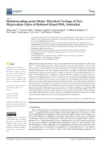 Metabarcoding Under Brine: Microbial Ecology of Five Hypersaline Lakes at Rottnest Island (WA, Australia)
