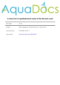 A Check List of Opisthobranch Snails of the Karachi Coast