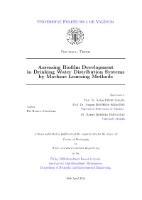 Assessing Biofilm Development in Drinking Water Distribution Systems