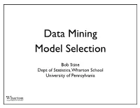 Data Mining Model Selection