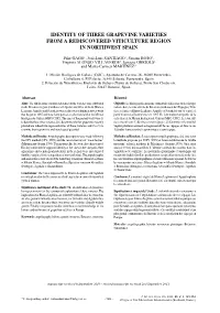 Identity of Three Grapevine Varieties from a Rediscovered Viticulture Region in Northwest Spain