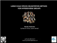 Large Scale Species Delimitation Method for Hyperdiverse Groups