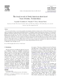 The Fossil Record of South American Short-Faced Bears (Ursidae, Tremarctinae)