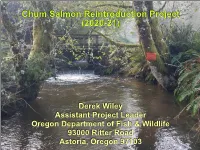 Chum Salmon Reintroduction Project (2020-21)