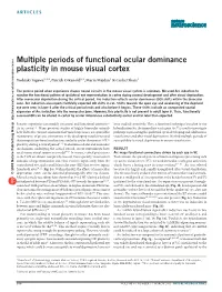 Multiple Periods of Functional Ocular Dominance Plasticity in Mouse Visual Cortex