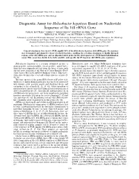 Diagnostic Assay for Helicobacter Hepaticus Based on Nucleotide Sequence of Its 16S Rrna Gene JANE K