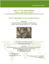 Msc 2Nd Re-Assessment Public Client Draft Report