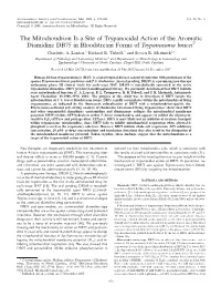 The Mitochondrion Is a Site of Trypanocidal Action of the Aromatic Diamidine DB75 in Bloodstream Forms of Trypanosoma Bruceiᰔ Charlotte A