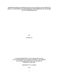 University of Florida Thesis Or Dissertation Formatting