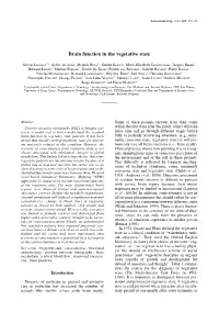 Brain Function in the Vegetative State